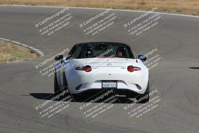 media/Nov-03-2023-Club Racer Events (Fri) [[fd9eff64e3]]/Yellow/Back Shots/